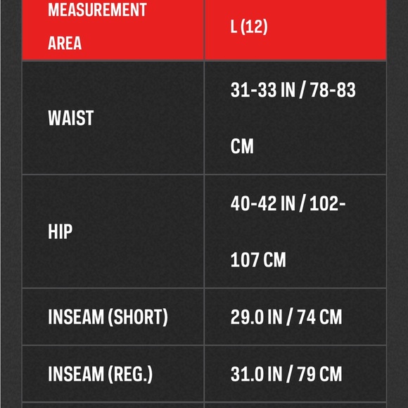 Women’s large the northface snow pants - Picture 4 of 4